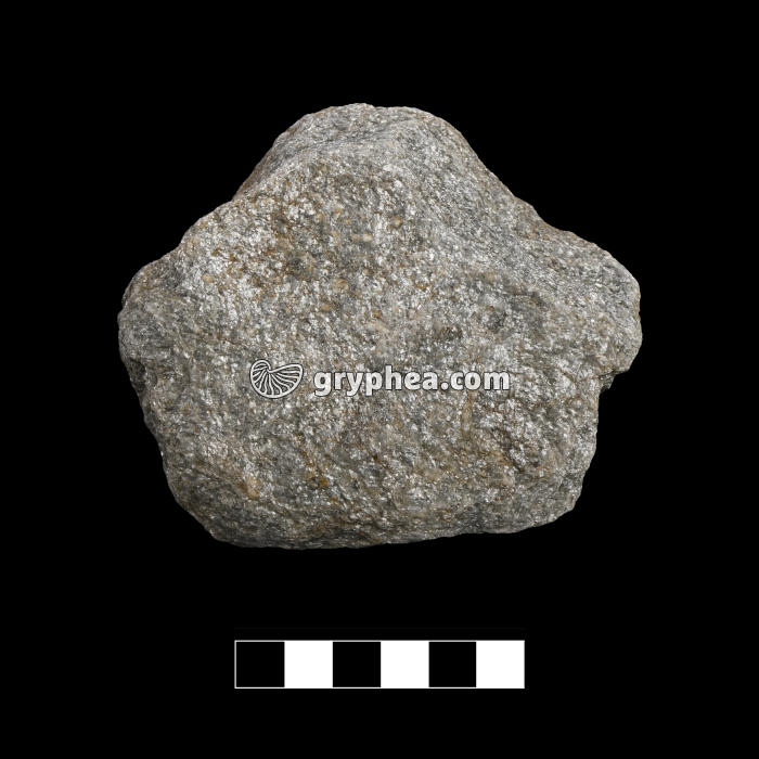 Micaschiste - échantillon - gryphea.com